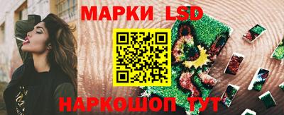 кокс Кингисепп