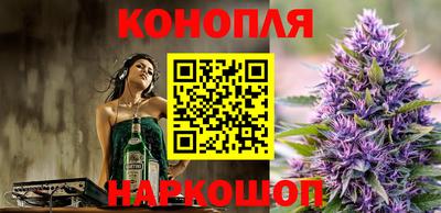 кокс Кингисепп