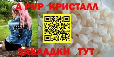 кокс Кингисепп